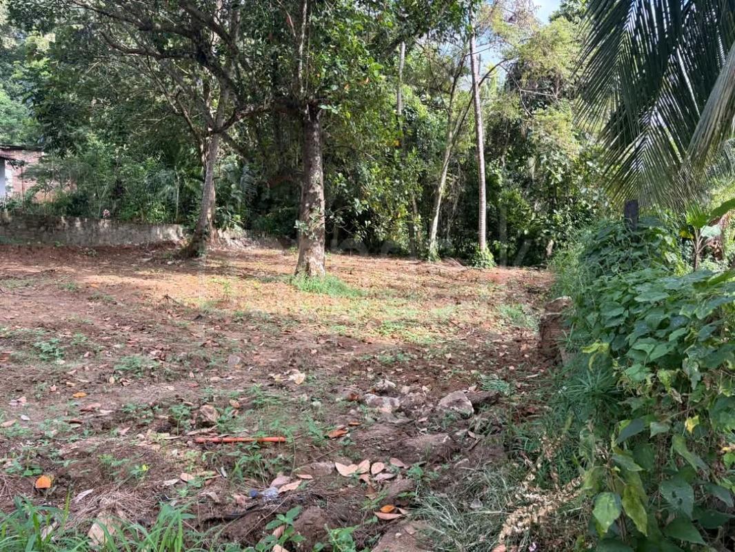 Agricultural Land for Sale in Mawathagama ads-image-1