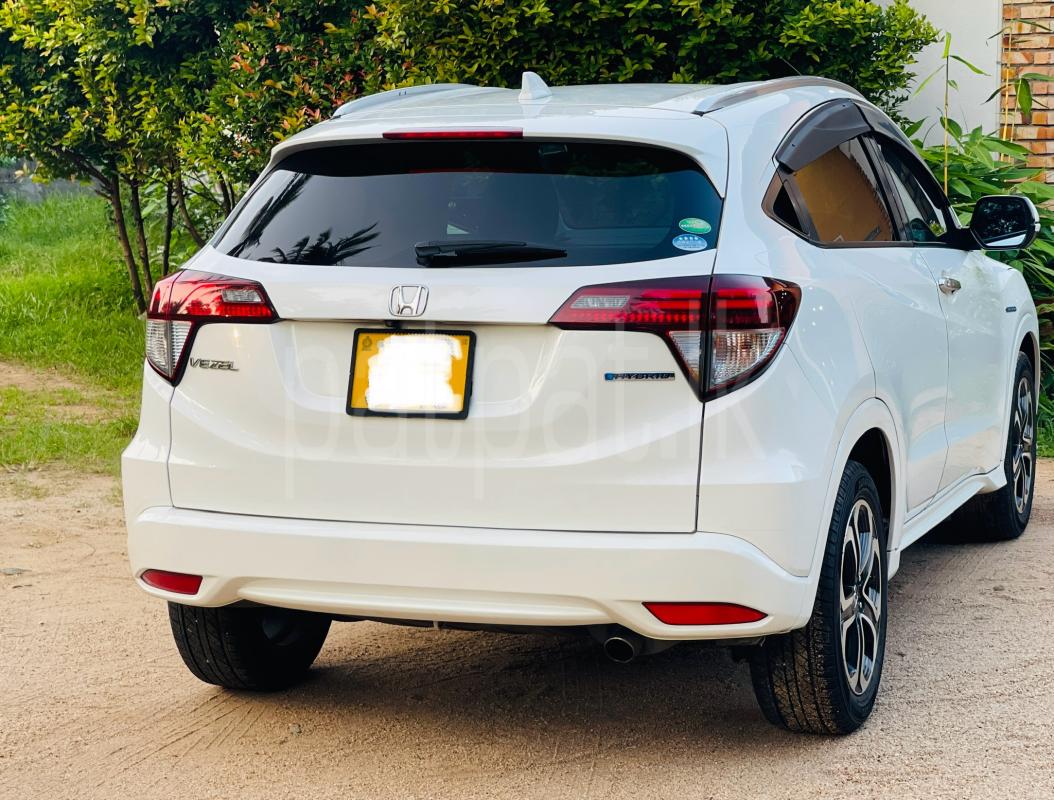 Advertisement image 4