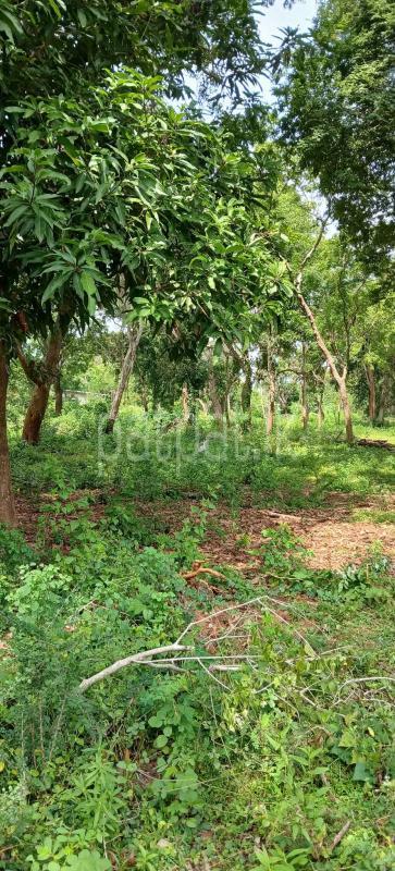 Residential Land for Sale in Kataragama
