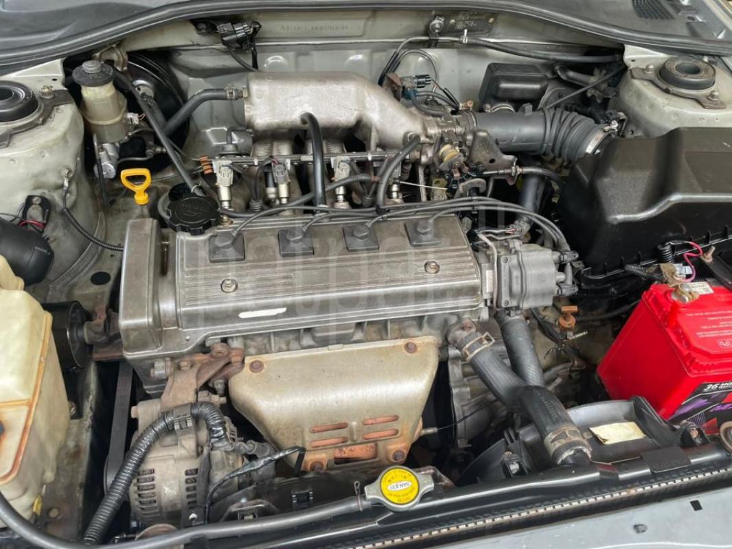 Advertisement image 5