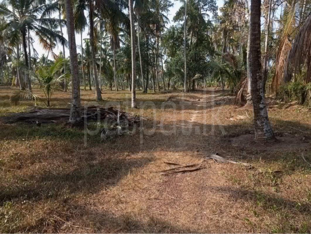 Agricultural Land for Sale in Gampaha ads-image-1
