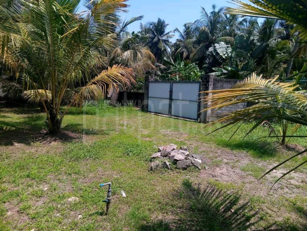 Residential Land for Sale in Pamunugama ads-image-1