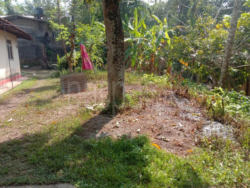 Residential Land for Sale in Kadawatha