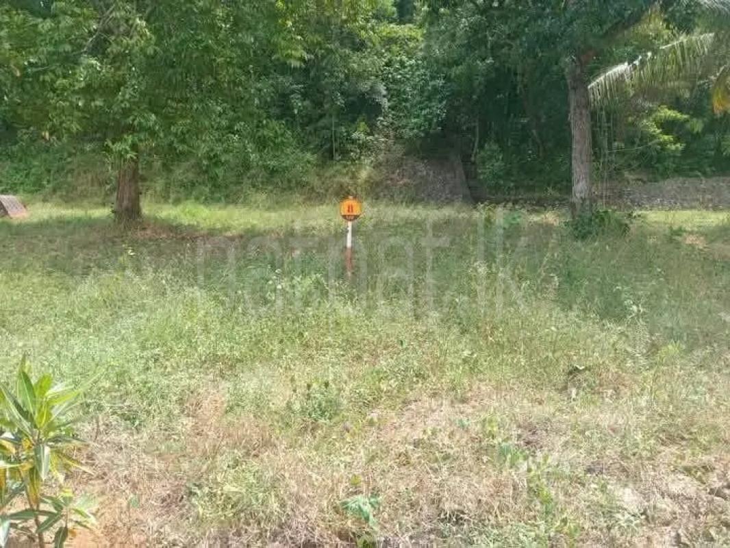 Commercial Land for Sale in Kurunegala ads-image-1