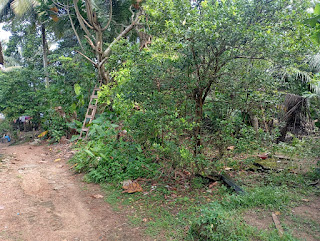 House for Sale in Colombo Fort (Colombo 01)