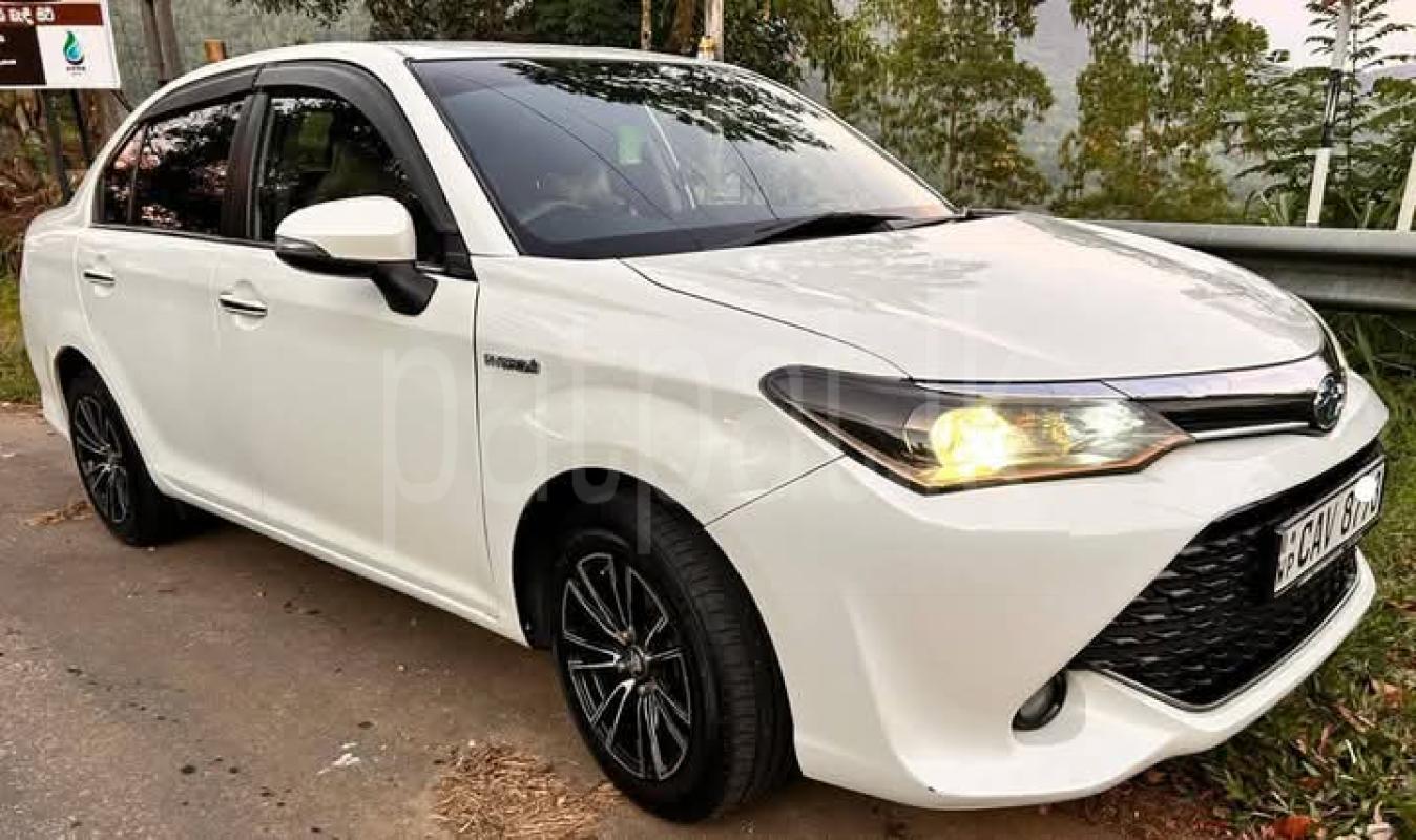 Advertisement image 2