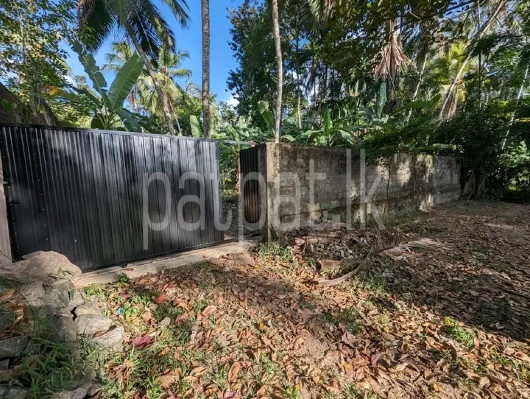 Advertisement image 1