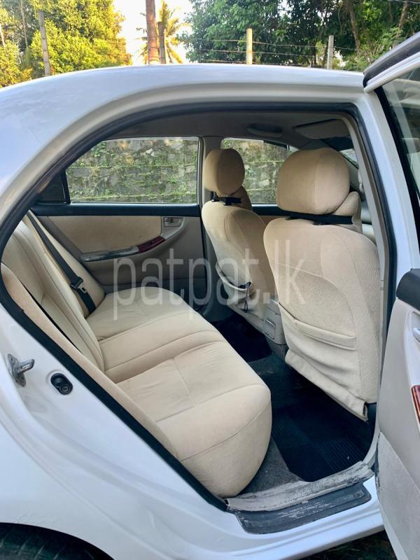 Advertisement image 6