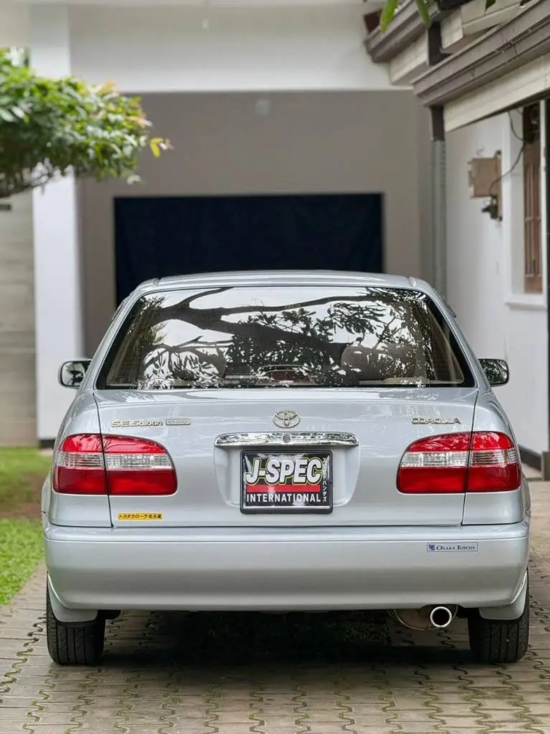 Advertisement image 2