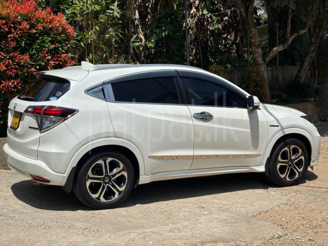 Advertisement image 4