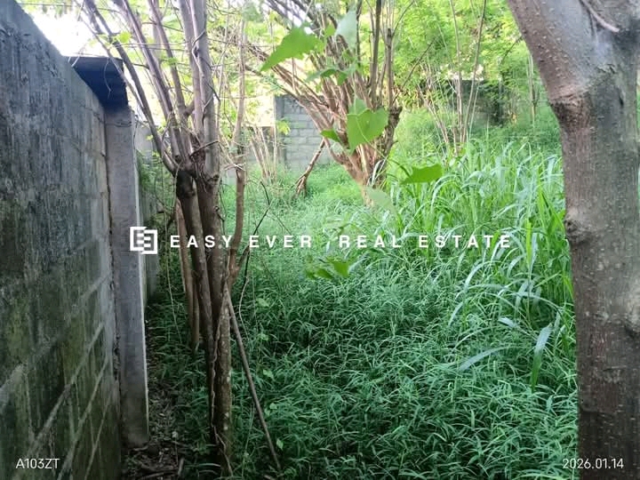 Residential Land for Sale in Pallekelle