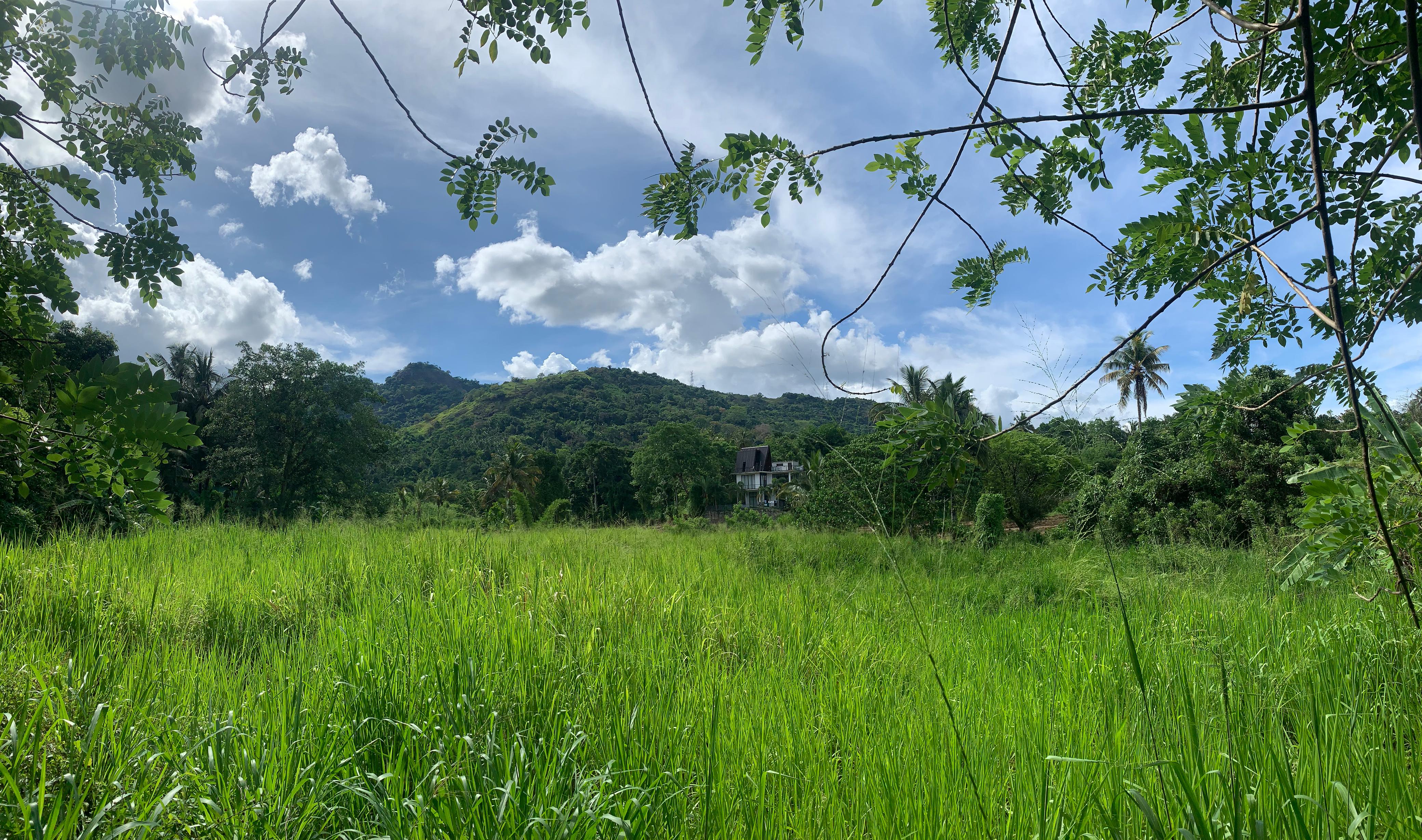Residential Land for Sale in Matale