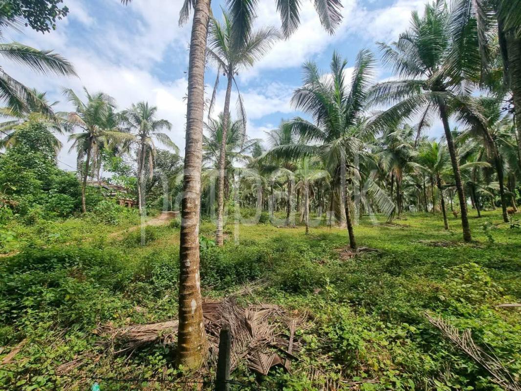 Residential Land for Sale in Kirindiwela