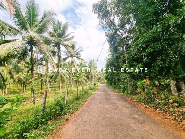 Commercial Land for Sale in Minuwangoda