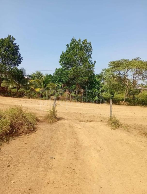 Residential Land for Sale in Kahathuduwa ads-image-1