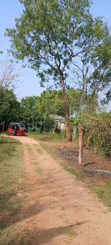 Residential Land for Sale in Kataragama