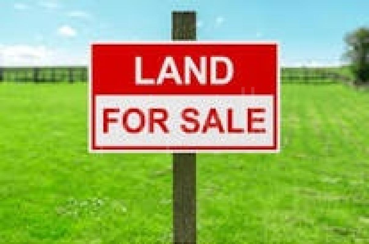 premium-listing-image