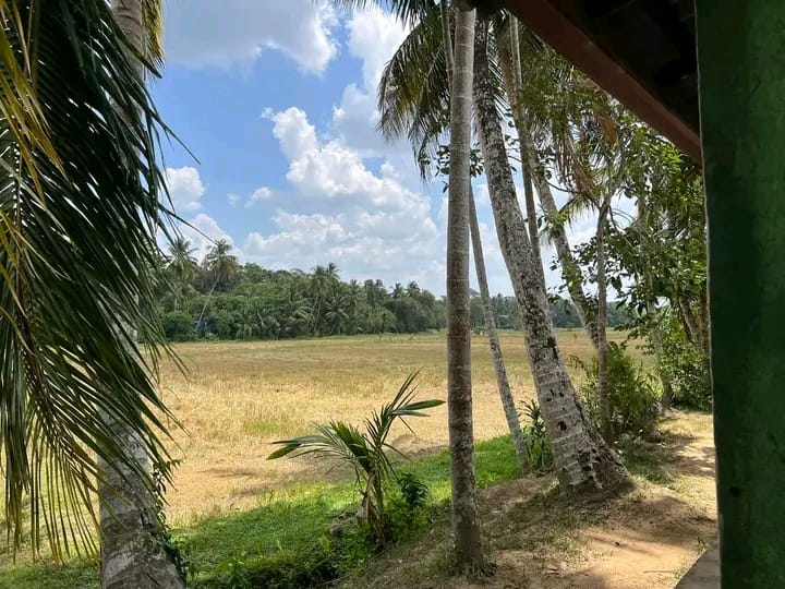 House for Sale in Minuwangoda