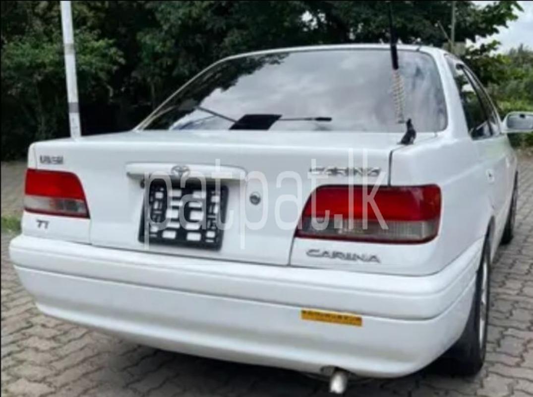 Advertisement image 3