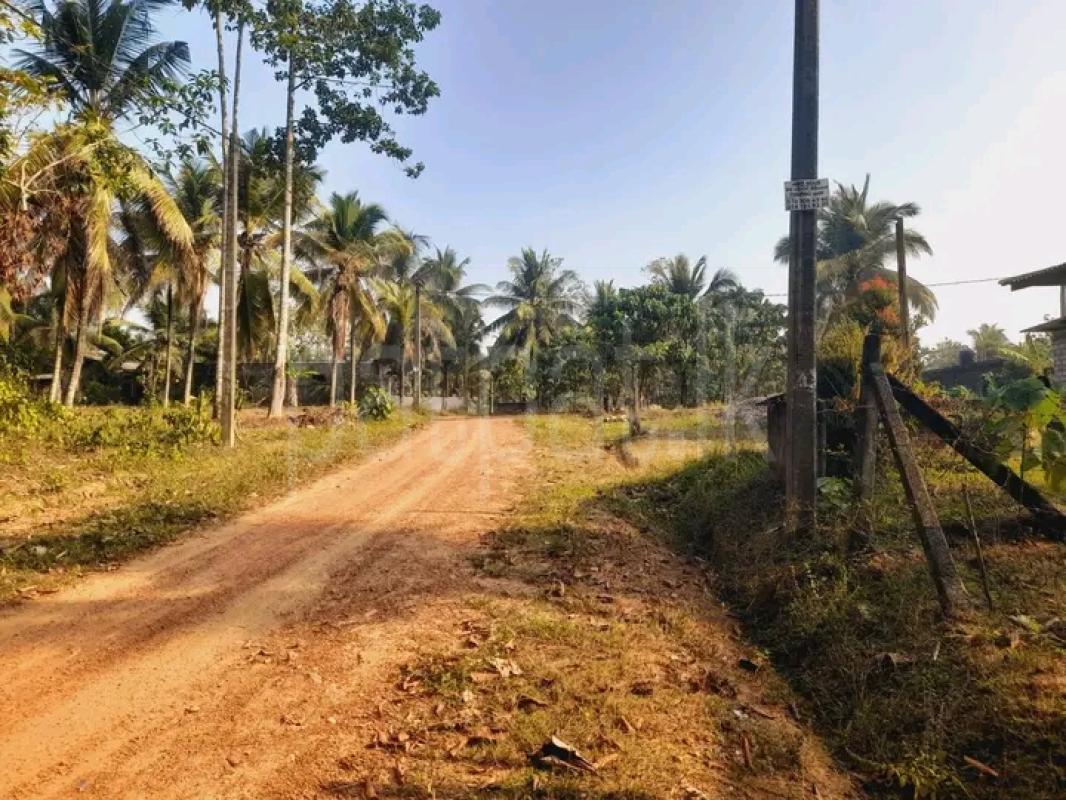 Residential Land for Sale in Dompe ads-image-1