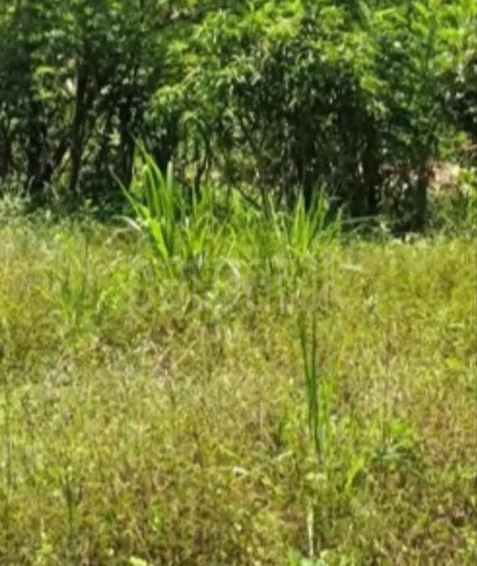 Residential Land for Sale in Anuradhapura