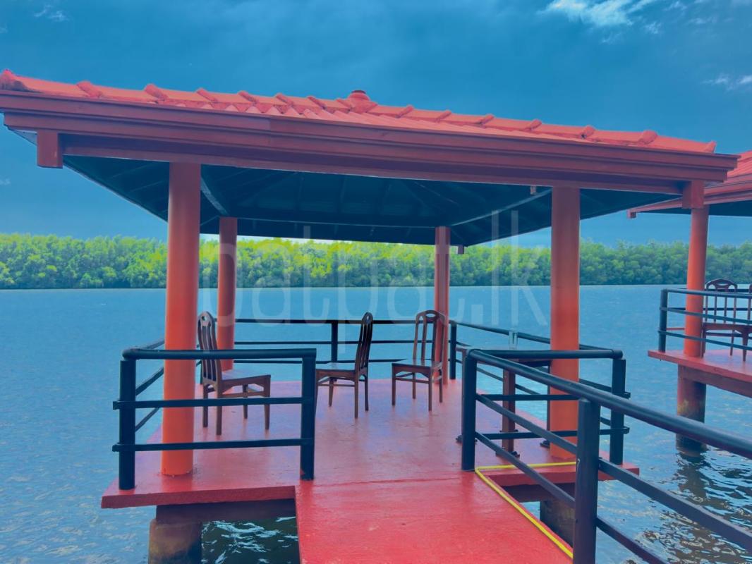 Residential Land for Sale in Benthara