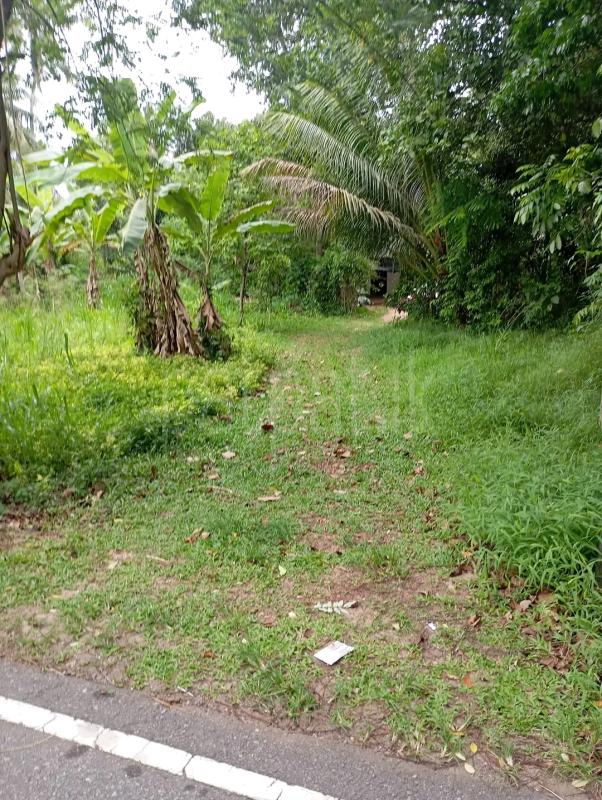 Agricultural Land for Sale in Mawathagama ads-image-1