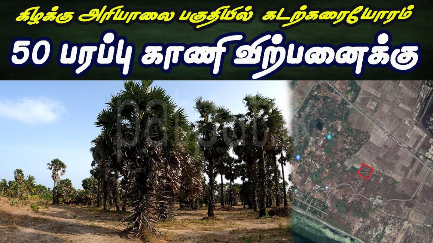 Agricultural Land for Sale in Jaffna