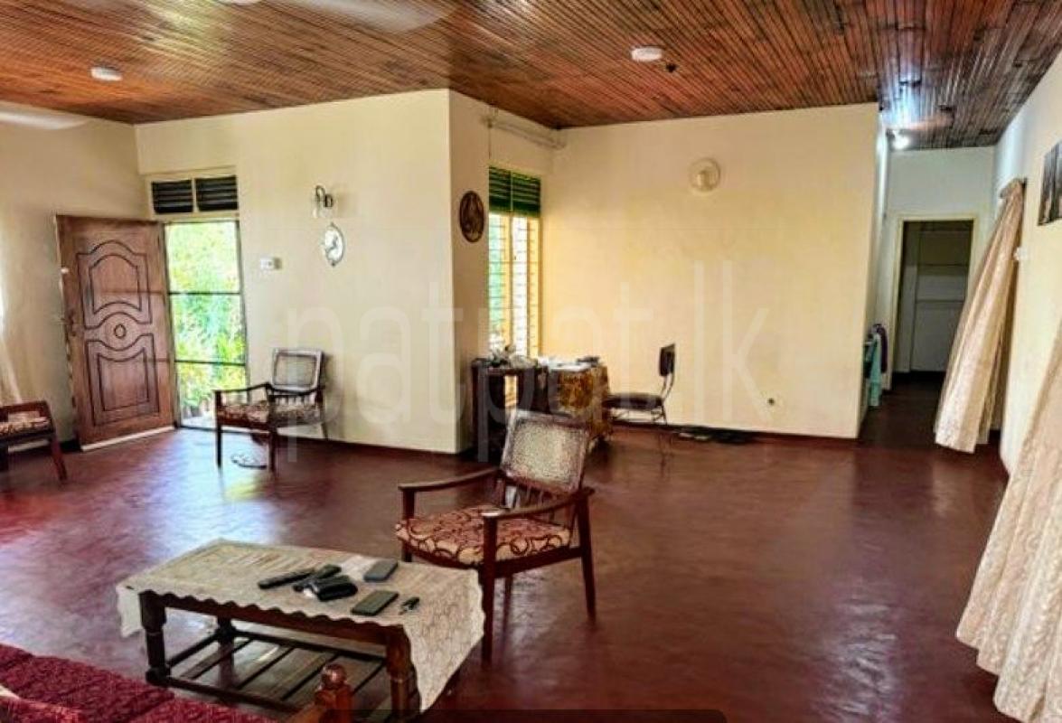 House for Rent in Dehiwala