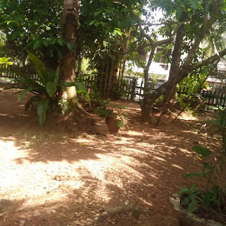 House for Sale in Homagama