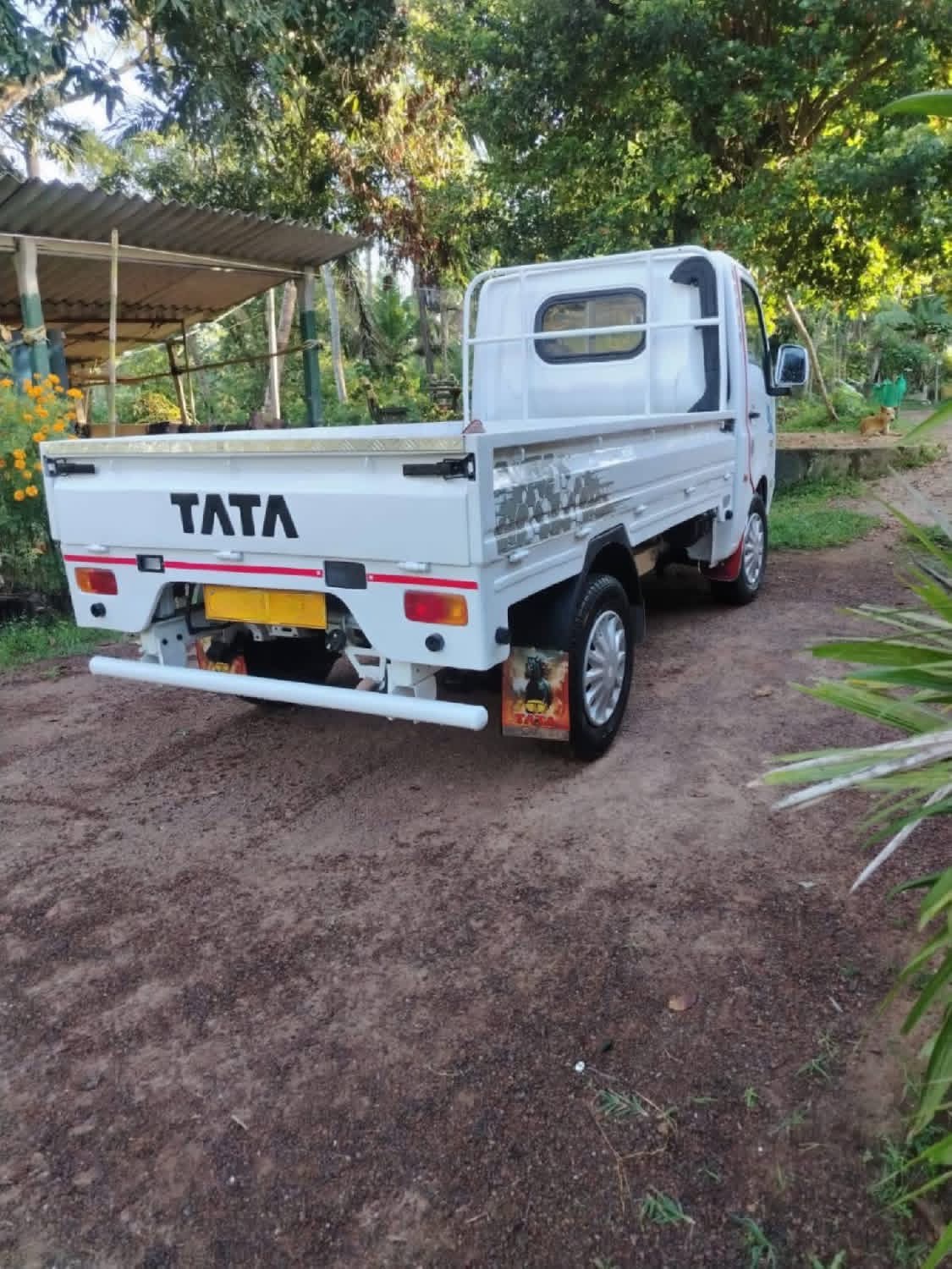 Tata Ace 2017 - Used Truck sale in Sri Lanka - patpat.lk