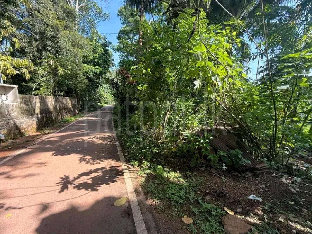 Agricultural Land for Sale in Galle