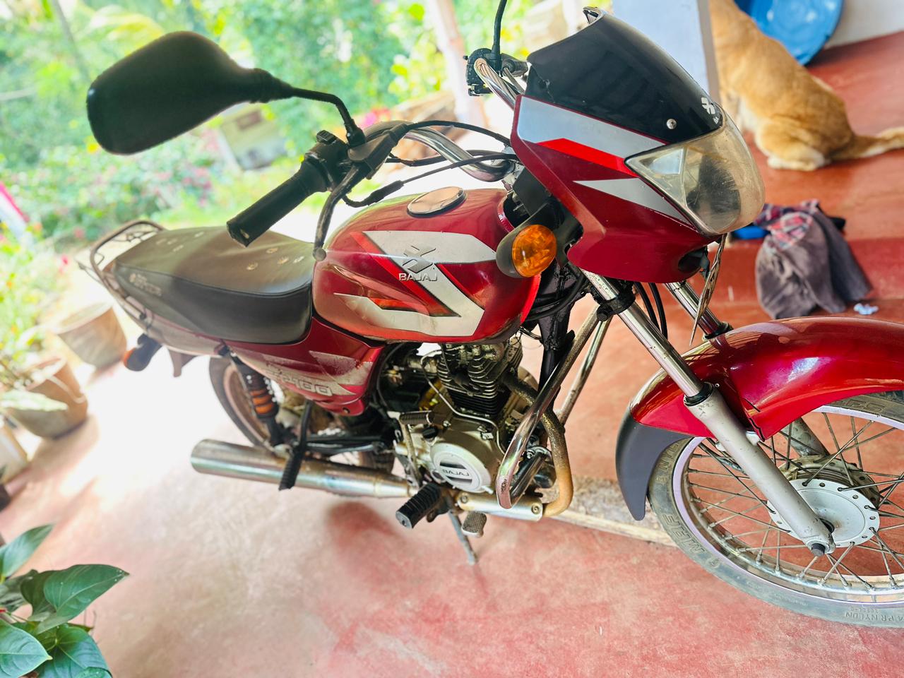 Advertisement image 2