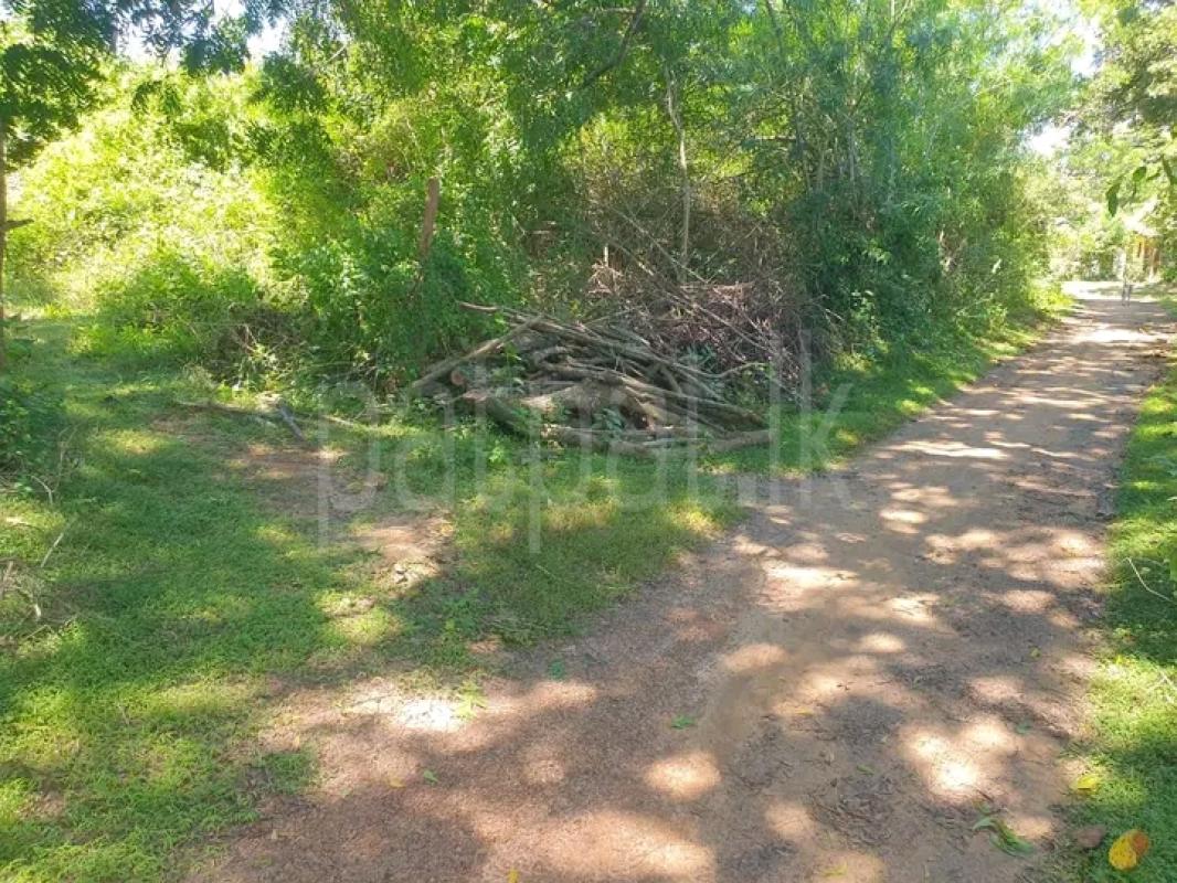 Advertisement image 6