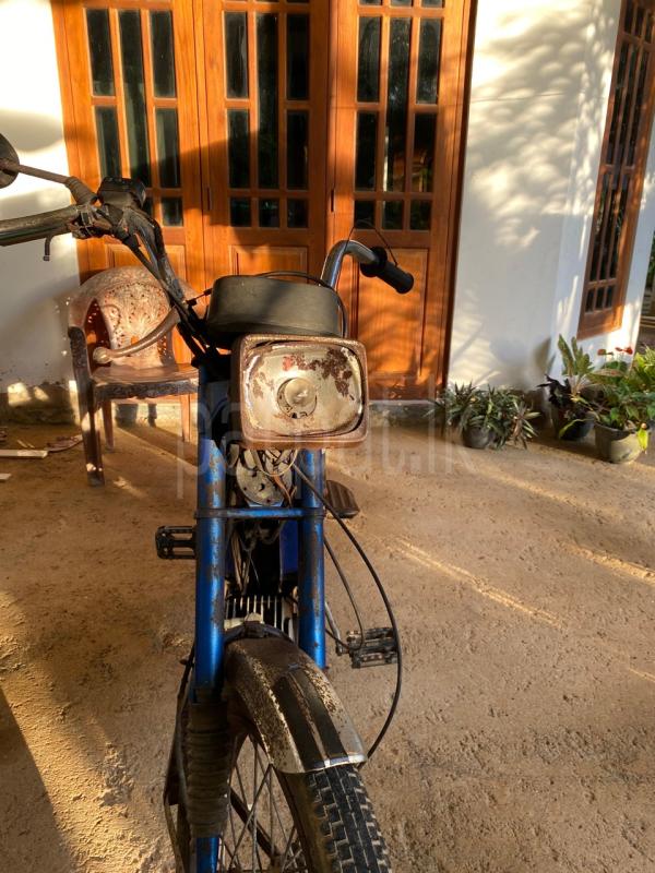 Advertisement image 4