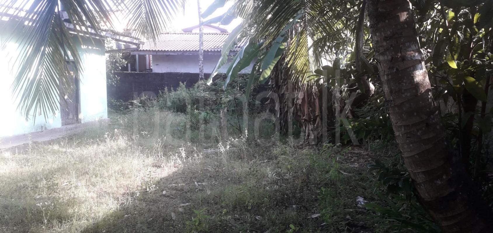 Commercial Land for Sale in Kottawa