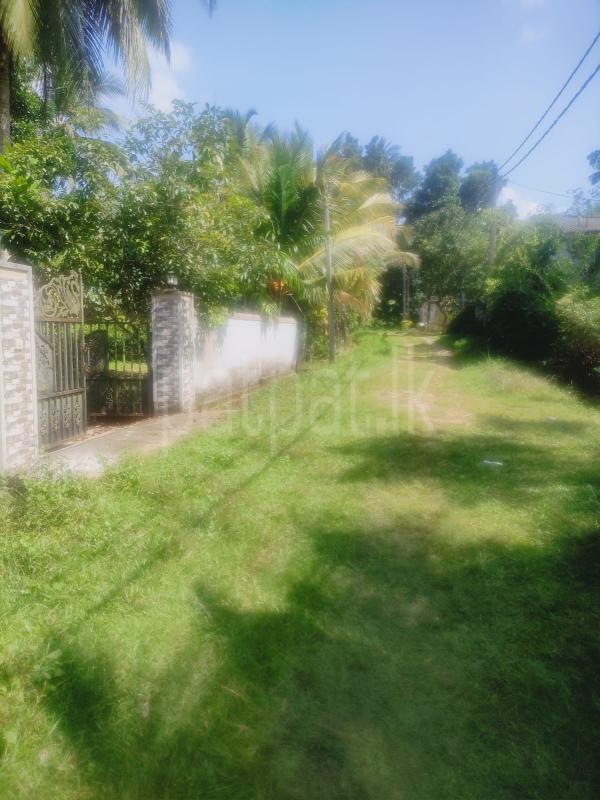 House for Sale in Horana