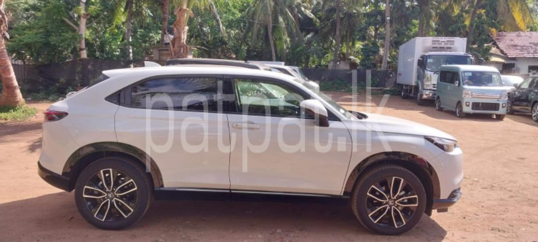 Advertisement image 3