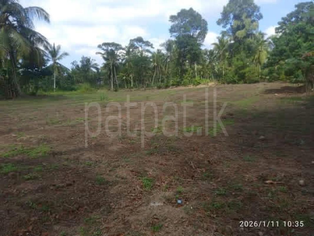 Agricultural Land for Sale in Bandaragama ads-image-1