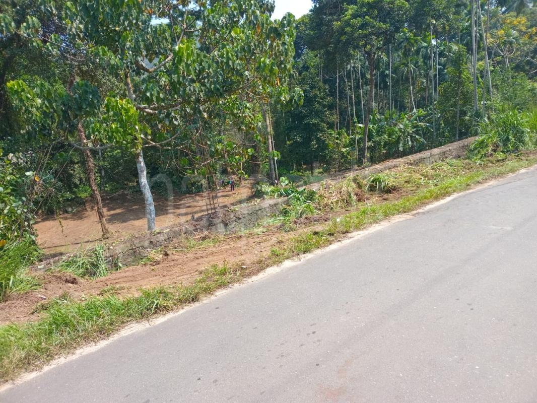 Commercial Land for Sale in Eheliyagoda ads-image-1