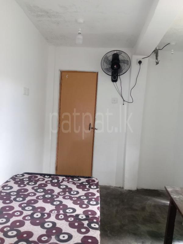 Room for Rent in Narahenpita (Colombo 05)