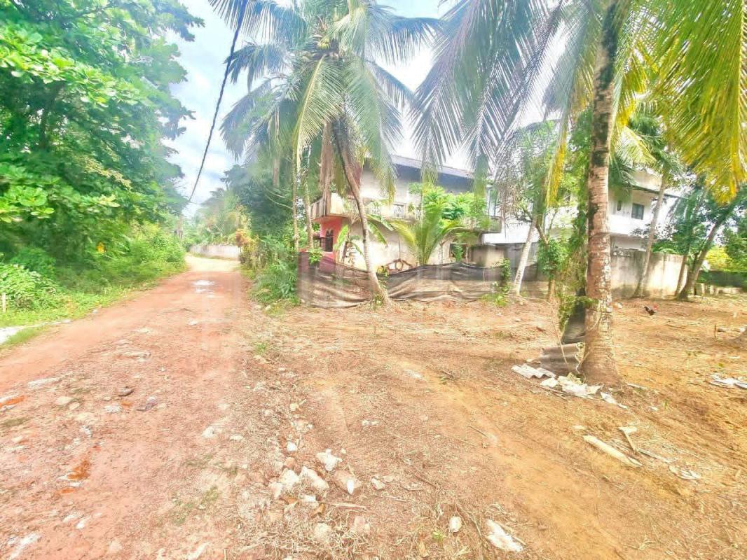 Residential Land for Sale in Gampaha