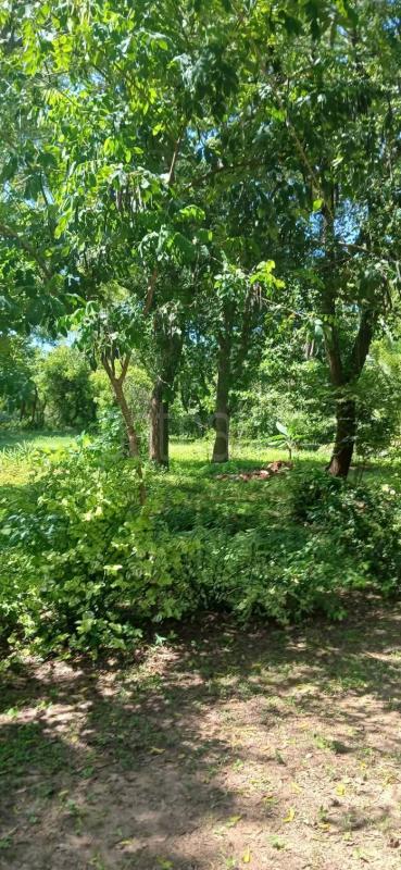 Residential Land for Sale in Kataragama