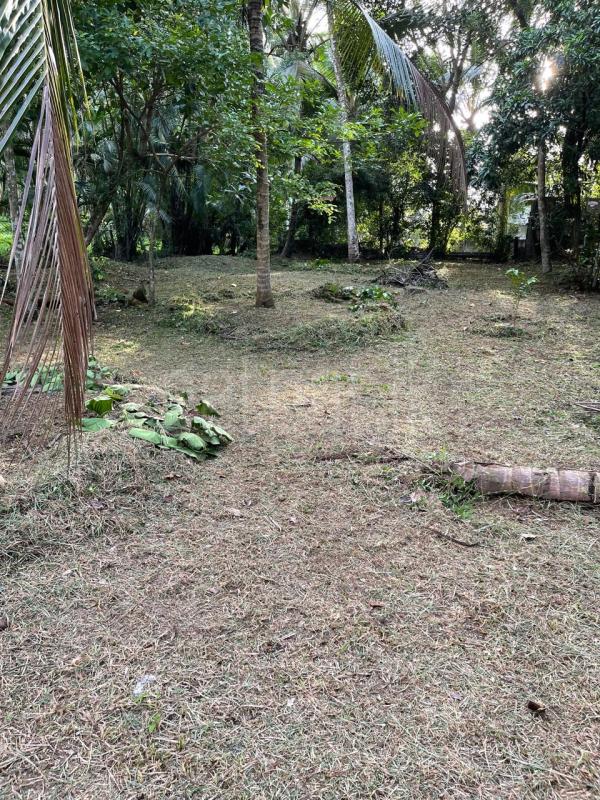 Residential Land for Sale in Kadawatha ads-image-1