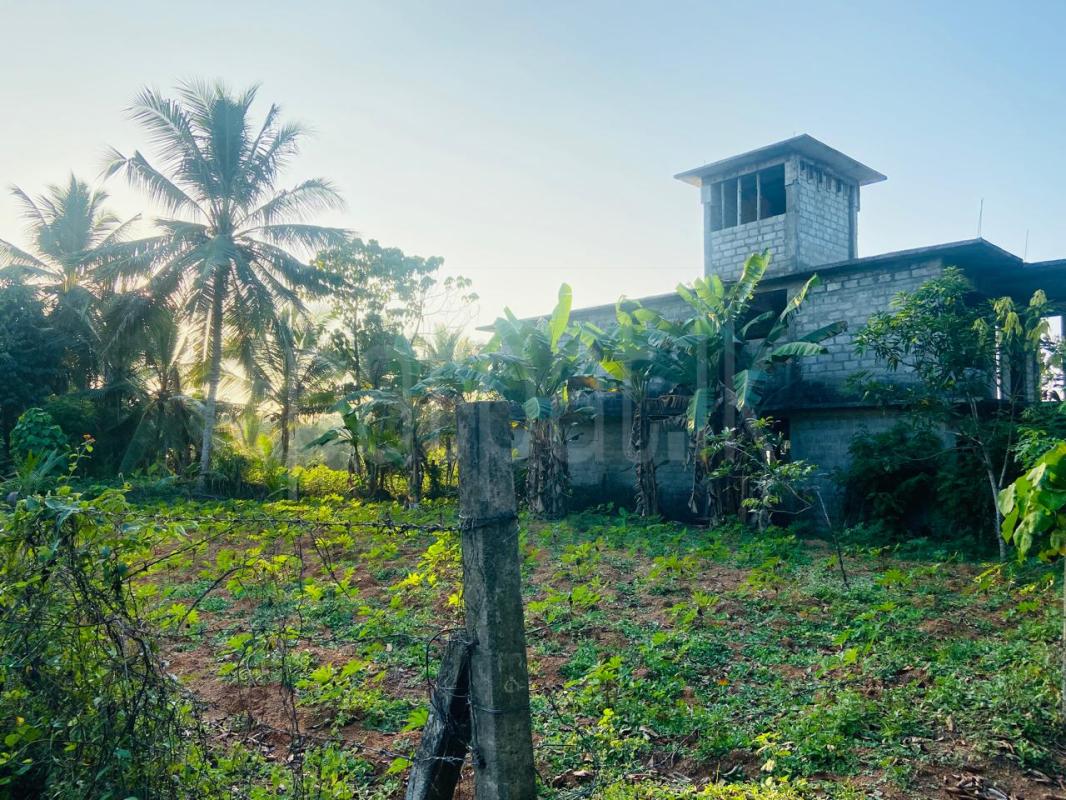 Residential Land for Sale in Radawana