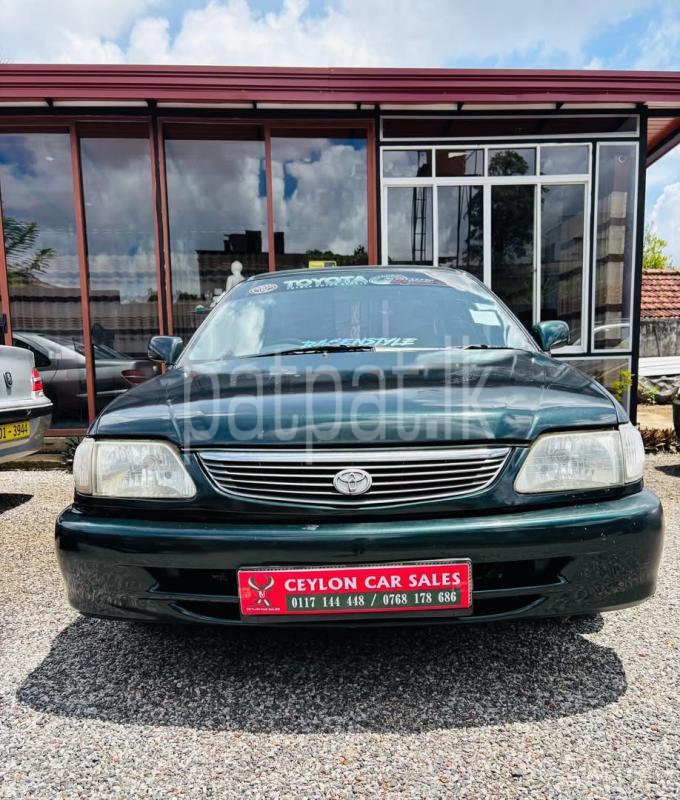 Advertisement image 1