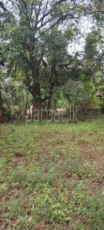 Residential Land for Sale in Kataragama ads-image-1