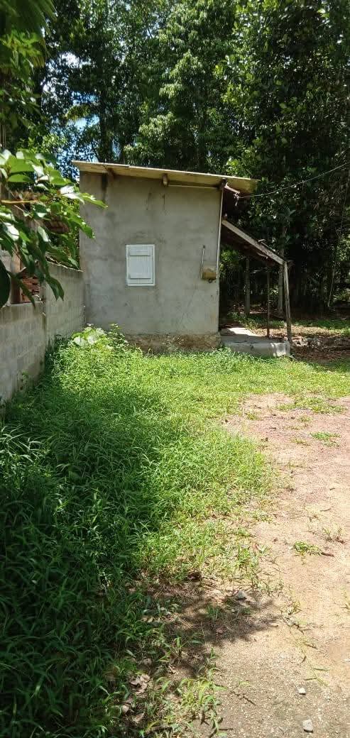 Agricultural Land for Sale in Kirillawala ads-image-1