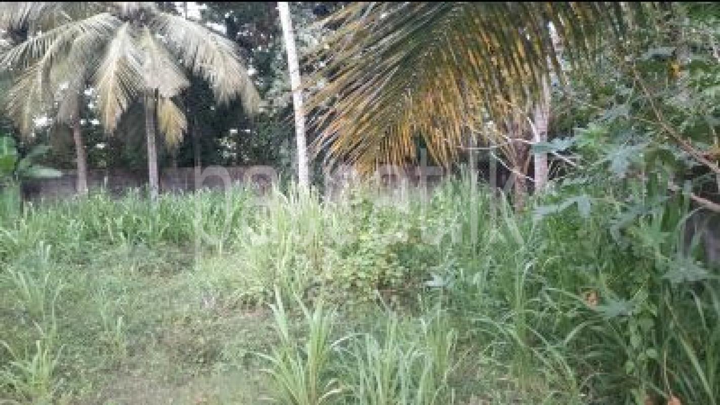 Residential Land for Sale in Moratuwa ads-image-1