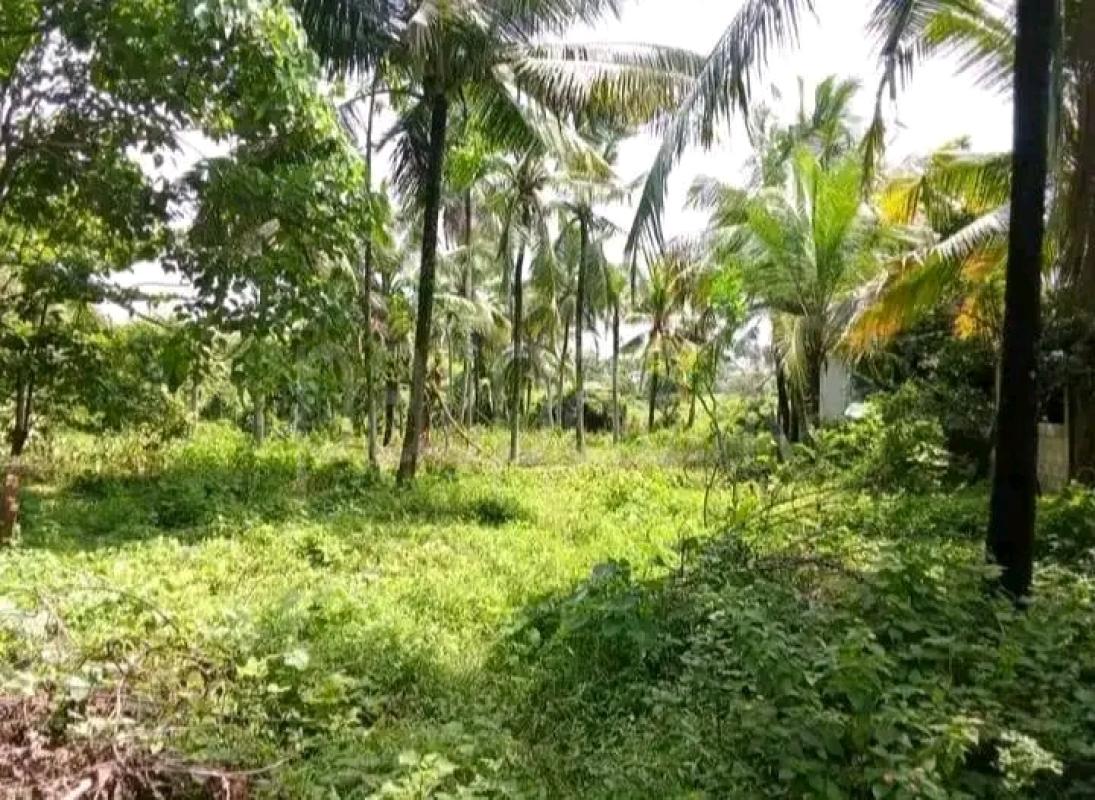 Residential Land for Sale in Malabe
